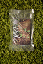 Load image into Gallery viewer, The Lurking Variable - Christian Michael Filardo