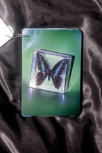 Load image into Gallery viewer, Gradient of Happiness - Christian Michael Filardo