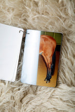 Load image into Gallery viewer, The Hedonic Treadmill - Christian Michael Filardo